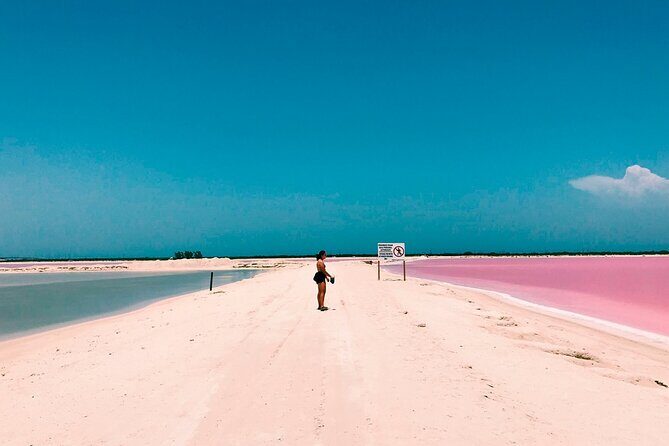 Pink Lake Las Coloradas + Rio Lagartos Reserve! Transportation from Cancun - Key Points