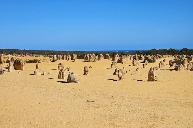 Pinnacle Day Adventure Tour - A Deep Dive into the Experience