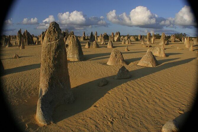 Pinnacles and Swan Valley Day Tour - What’s Included and What’s Not