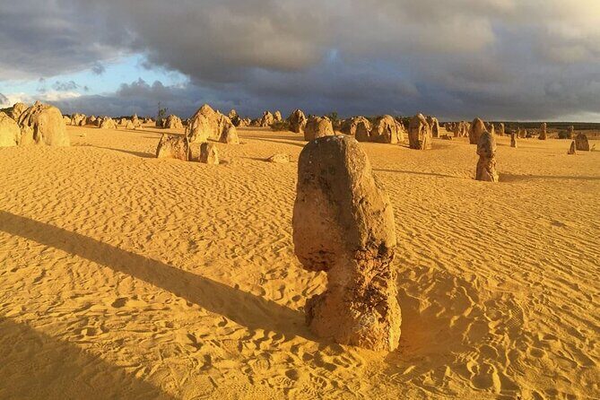 Pinnacles Day Tour - Key Points