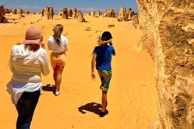 Pinnacles Desert and Catch Your Own Lobster Lunch Safari. - Exploring the Pinnacles Desert