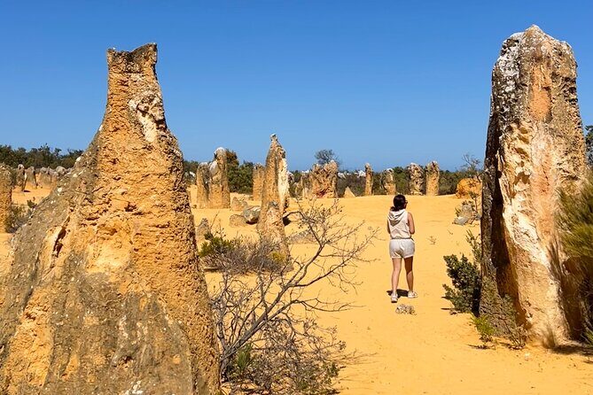 Pinnacles Desert and Catch Your Own Lobster Lunch Safari. - Why This Tour Offers Great Value