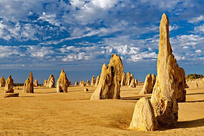 Pinnacles Desert Lobster Tour from Perth - Frequently Asked Questions