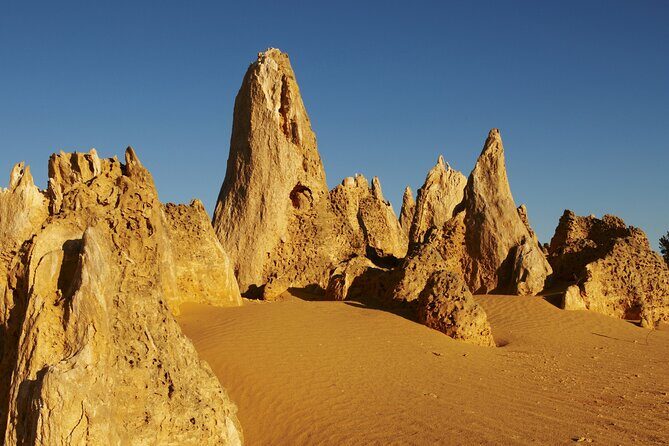 Pinnacles Desert Private Tour - Who Will Love This Tour?