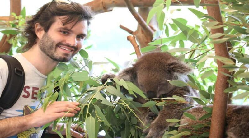 Pinnacles, Koalas & Sandboarding Tour Day Trip from Perth - Walking Among the Pinnacles