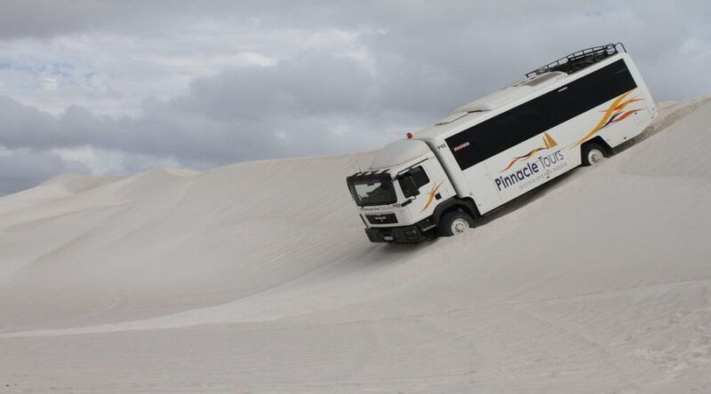 Pinnacles, Koalas & Sandboarding Tour Day Trip from Perth - The Journey Back to Perth