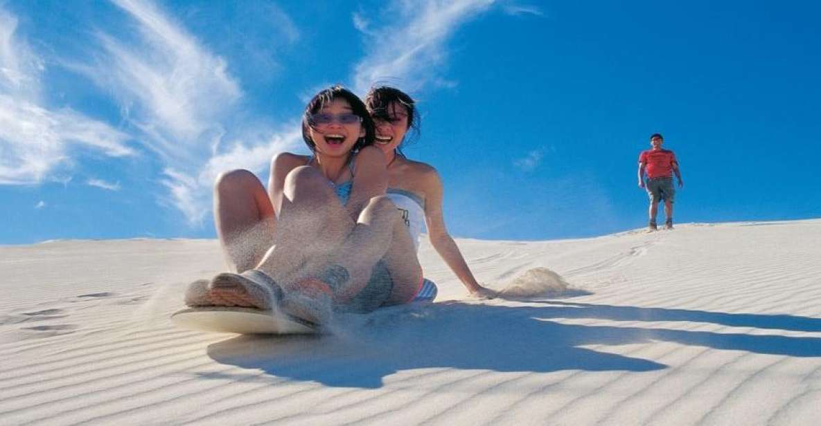 Pinnacles, Koalas & Sandboarding Tour Day Trip From Perth - Key Points