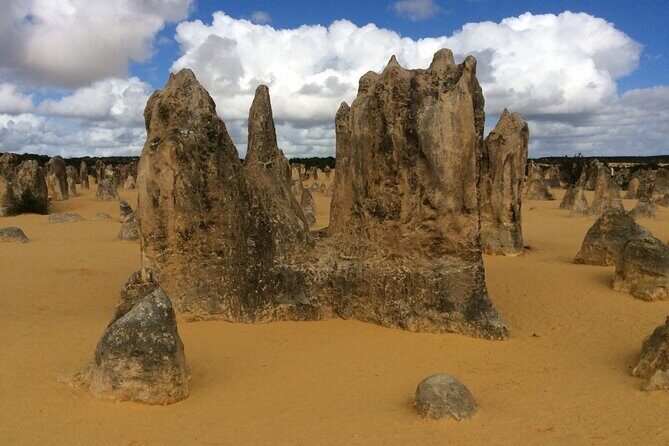 Pinnacles & Rottnest Island Scenic Air & Ground Tour - Final Thoughts