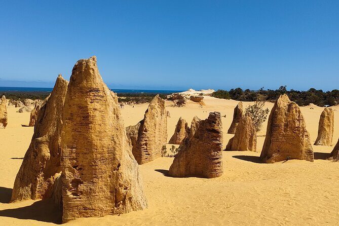 Pinnacles+Lancelin Sand Dune Impression Day Tour from Perth - Transportation and Group Dynamics