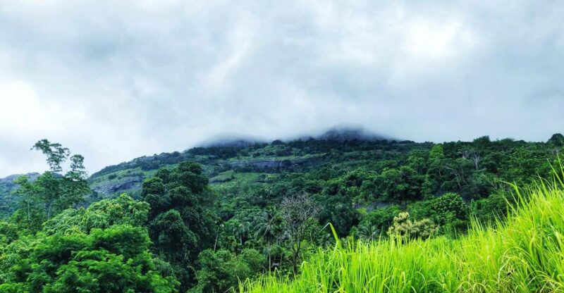 Pinnawala Rambukkana: Hidden Gem Tour - Booking Information