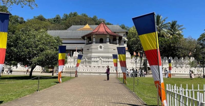 Pinnawala & Tea Factory & Kandy Full Day Tour From Negombo - Good To Know