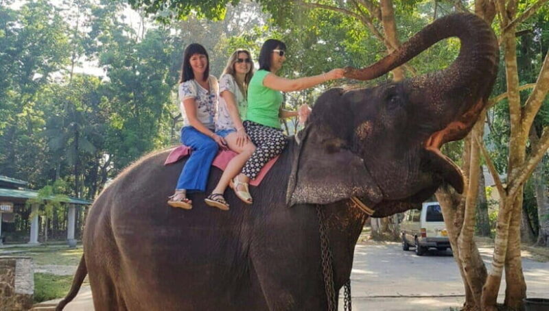 Pinnawala,Kandy Day Tour from Colombo/Negombo - An In-Depth Look at the Itinerary