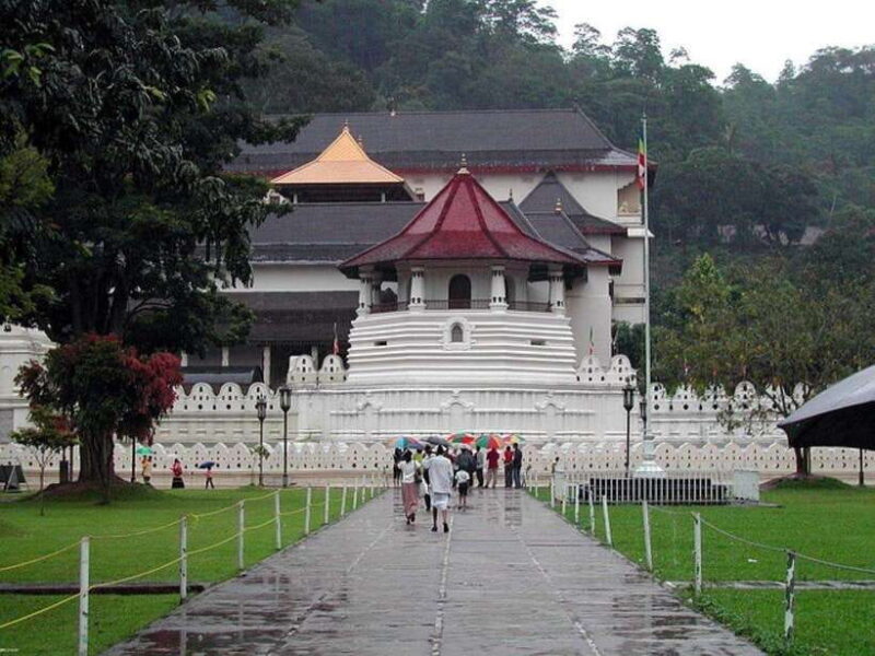 Pinnawala,Kandy Day Tour from Colombo/Negombo - Who Will Love This Tour?