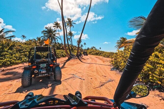 Piñones Beach Buggy + El Yunque Waterfall Adventure - Transportation, Group Size, and Practical Details