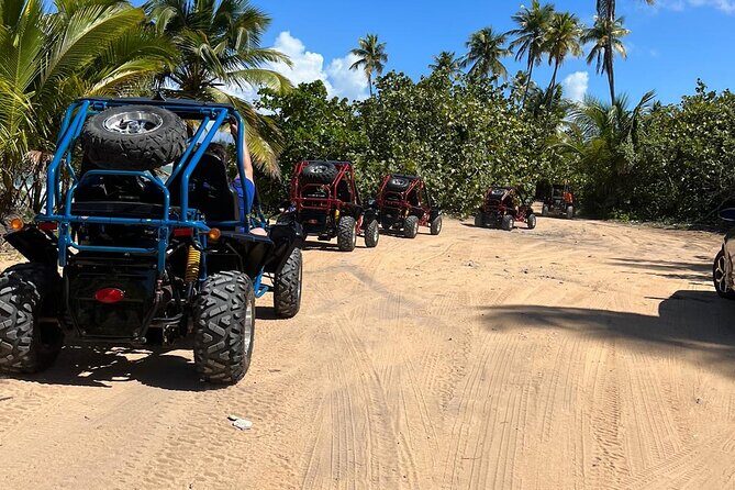 Piñones Beach Buggy + El Yunque Waterfall Adventure - Authentic Reviews & Insights