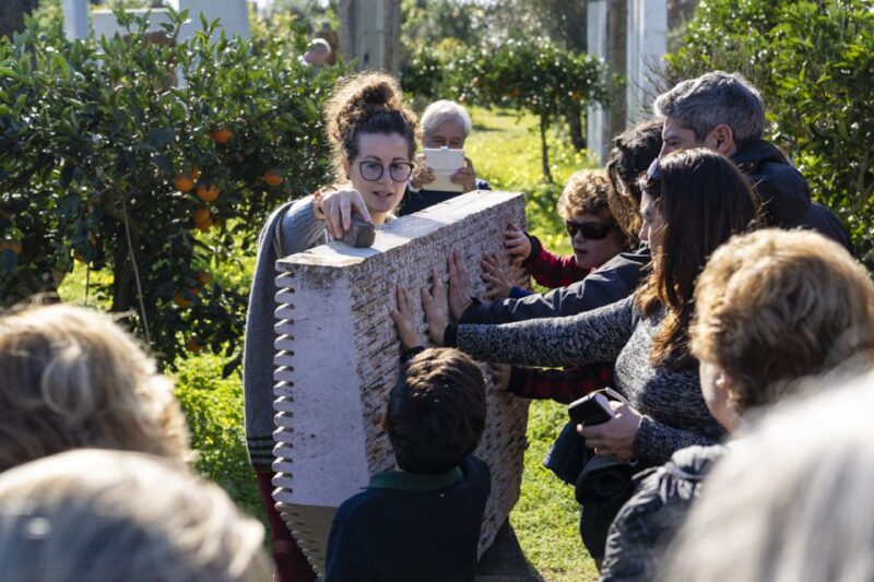 Pinuccio Sciola Museum: Sound Garden Guided Tour - Recap