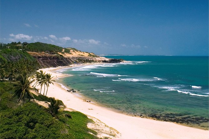 Pipa Beach Day Tour From Natal - Recommendations for Travelers