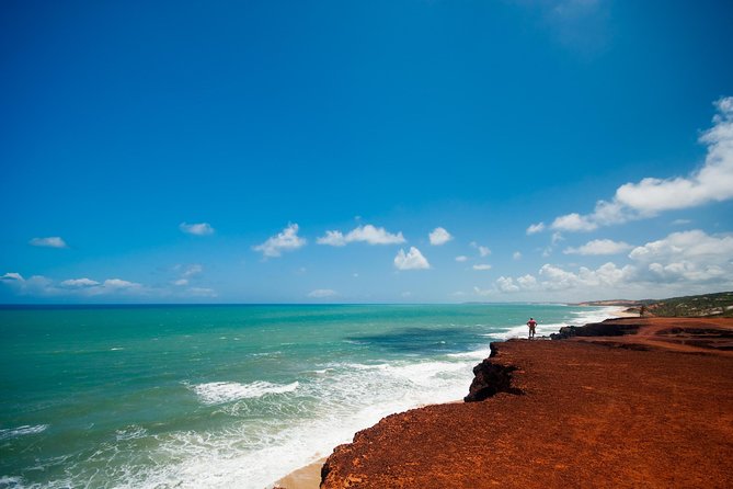 Pipa Beach Day Tour From Natal - Traveler Experiences