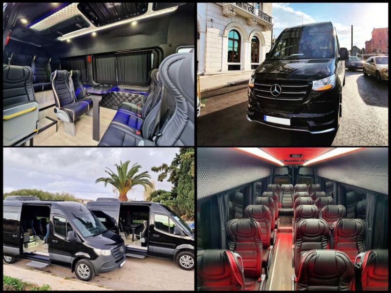 Piraeus Cruise Port to Athens Hotels VIP Mercedes Minibus - Key Points