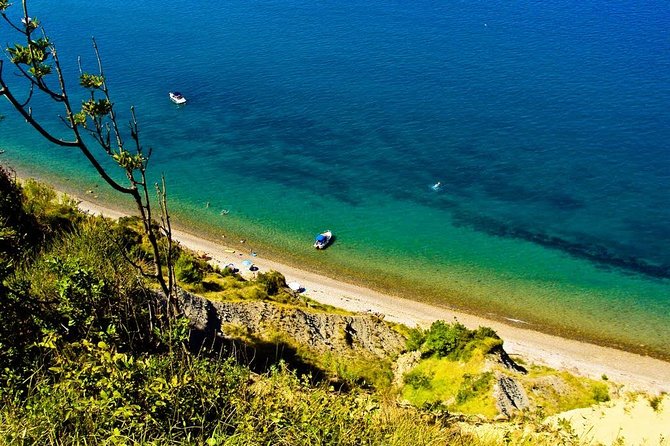 Piran and Scenic Slovenian Coast - Private Tour From Trieste - Transportation and Accessibility