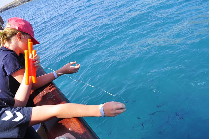 Pirate Adventure Boat Tour With Lunch in Fuerteventura - Wildlife Sightings During the Cruise