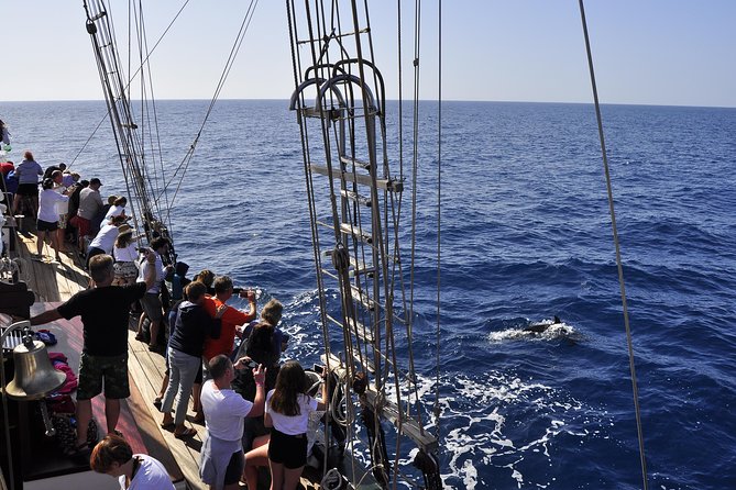 Pirate Adventure Boat Tour With Lunch in Fuerteventura - Traveler Reviews and Ratings