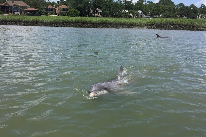 Pirate Ship Dolphin Tour - Tour Details