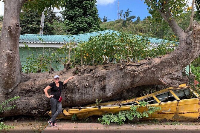 Pirates of the Caribbean Fun Tour - Introduction and Overall Impression