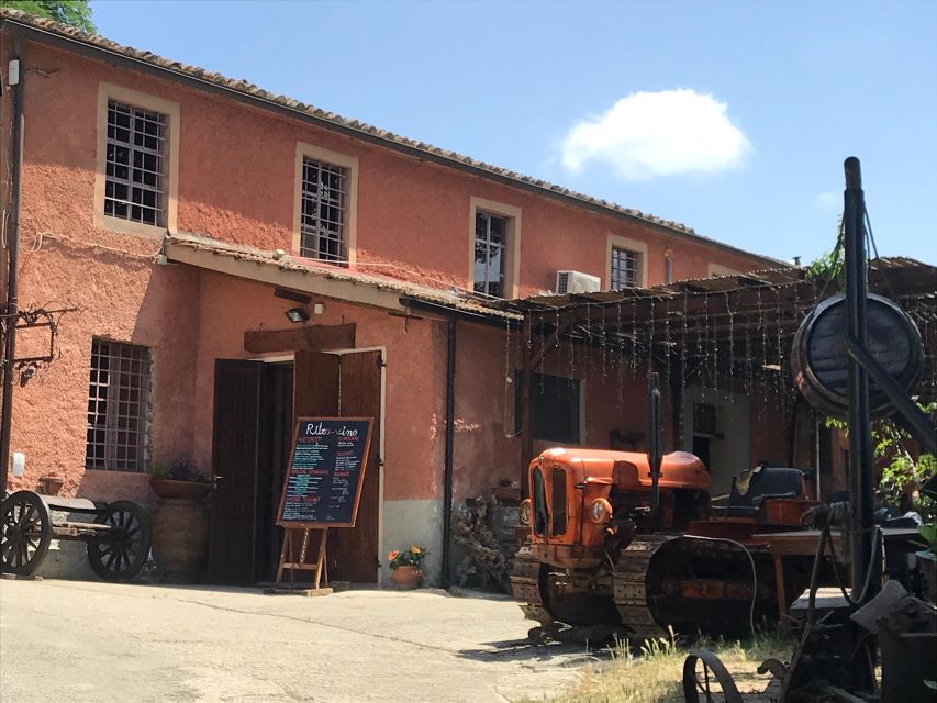 Pisa & Florence Shore Excursion From Livorno Wine & Wonders - Main Highlights