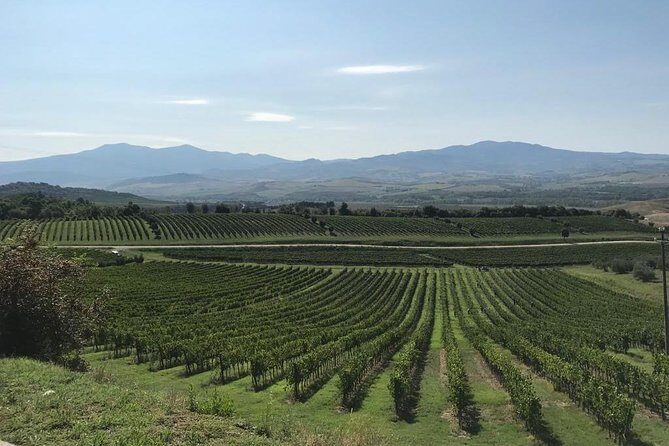 Pisa Full Day from La Spezia Port - Authenticity and Flexibility