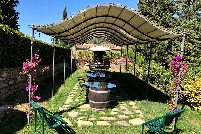 Pisa, Lucca & Winery Private Tour from Livorno port - An Authentic Day in Western Tuscany