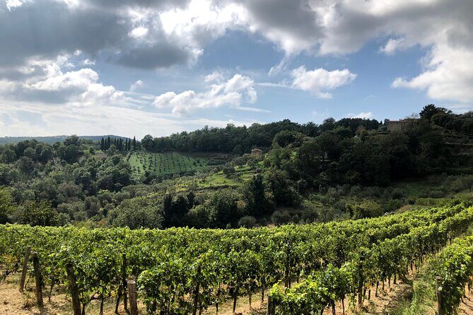 Pisa, Lucca & Winery Private Tour from Livorno port - Pisa: The Iconic Leaning Tower and More