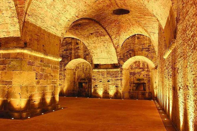 Pisa, Lucca & Winery Private Tour from Livorno port - Who Should Consider This Tour?