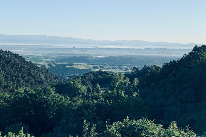 Pisa Tour and Wine Tasting on the Pisan Hills - First Stop: The Leaning Tower of Pisa