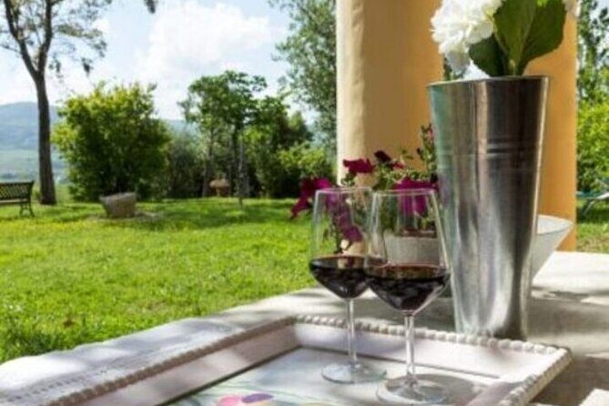 Pisa Tour and Wine Tasting on the Pisan Hills - What Could Be a Consideration?