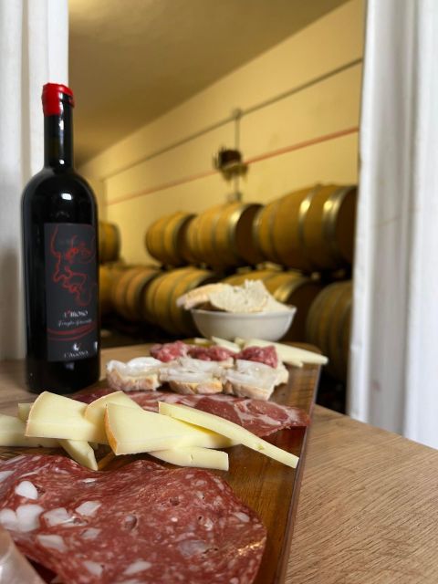 Pisa: Winery Tour and Wine Tasting With Local Food Pairing - Key Points