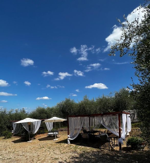 Pisa: Winery Tour and Wine Tasting With Local Food Pairing - Tour Highlights