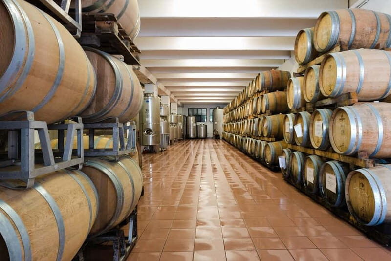 Pisoni: Stories of wine and flavors - Key Points