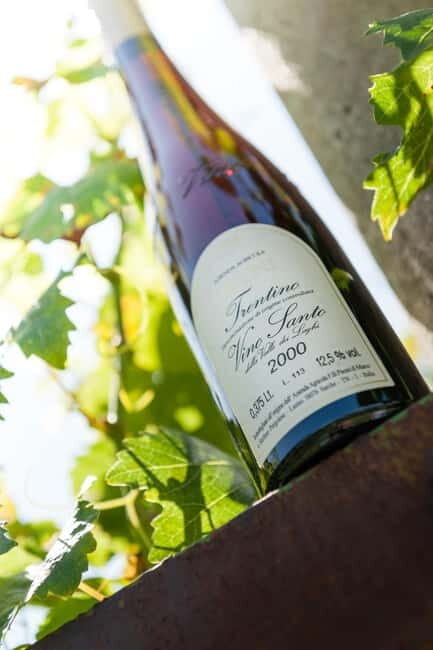 Pisoni: Stories of wine and flavors - A Closer Look at the Experience