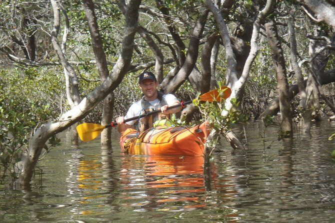 Pittwater Discovery Kayaking Tour - Setting the Scene: What the Tour Looks Like