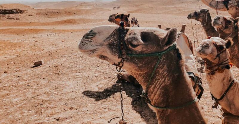Pivate Agafay Desert Experience From Marrakech - Sunset Camel Ride