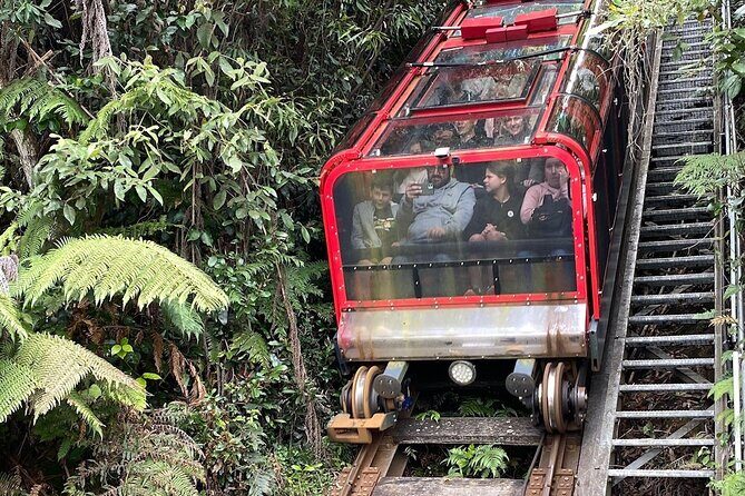 PJ Blue Mountains Supreme [Private Charter] - Final Thoughts