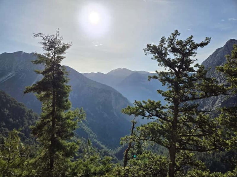 Platanias: Discover Samaria with professional hiking guide! - What Makes This Tour Stand Out?