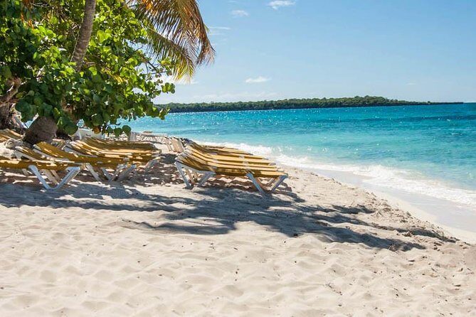 Platinum Catalina Island and Chavon River - The Authentic Experience: What Youll Take Away