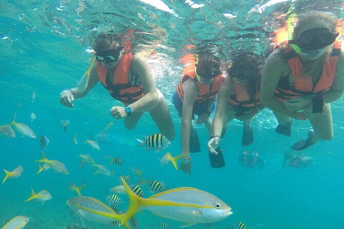 Platinum Catamaran, Drinks, Party and Beach Club! From Cancun - Who Will Love This Tour?