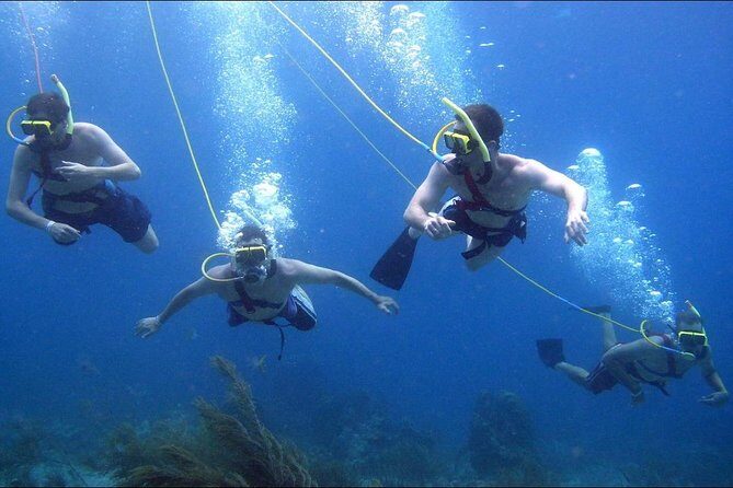 Platinum Power Shore Adventure, Hookah Diving, and Snorkeling - Key Points