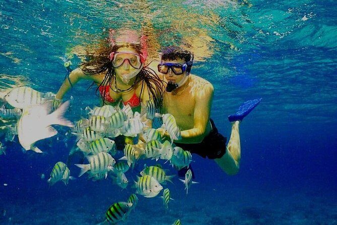 Platinum Power Shore Adventure, Hookah Diving, and Snorkeling - The Sum Up: Who Will Love This Experience?