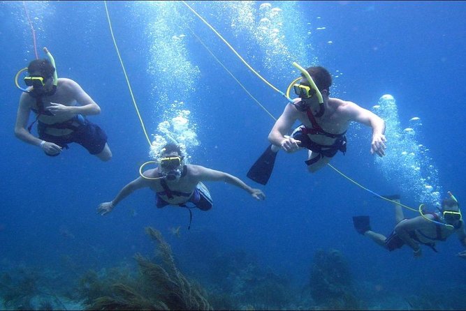Platinum Power Shore Adventure, Hookah Diving, and Snorkeling - Tour Capacity and Ratings