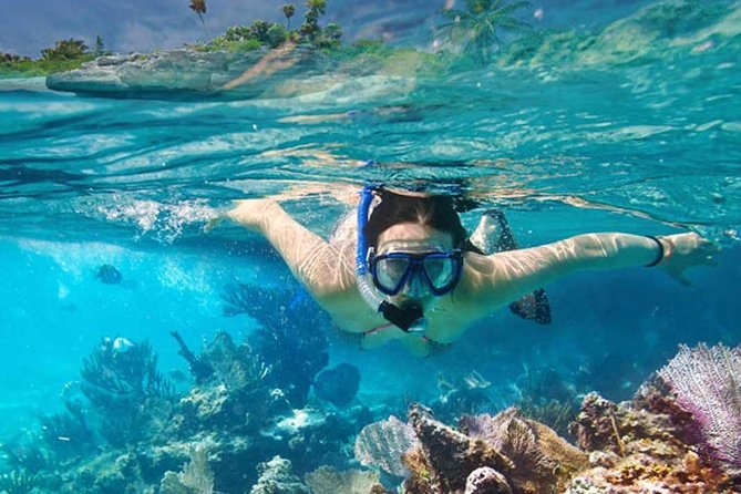 Platinum Power Shore Adventure, Hookah Diving, and Snorkeling - Underwater Reef Exploration