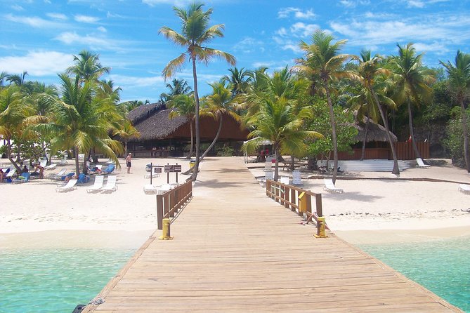 Platinum Power Shore Adventure, Hookah Diving, and Snorkeling - Souvenir Photos and DVD